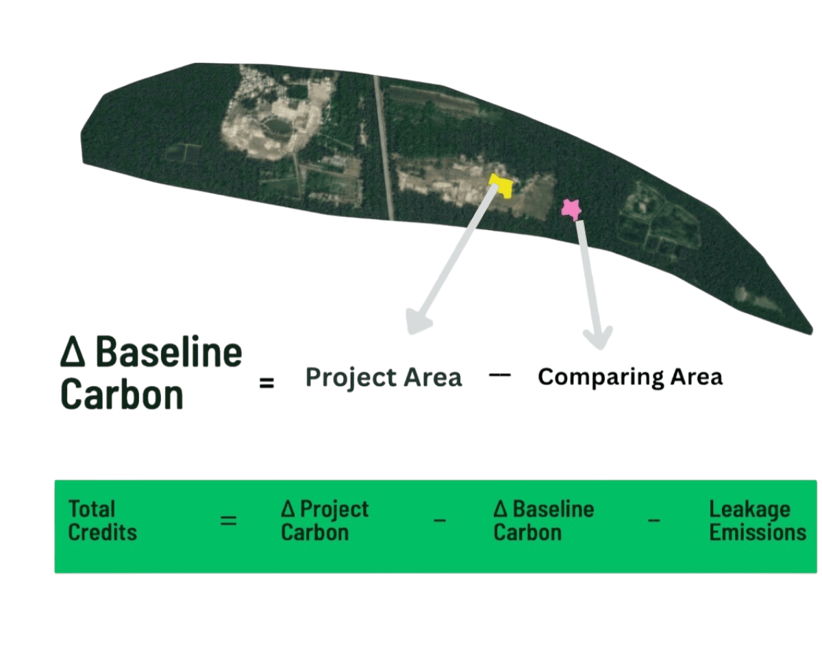 Dynamic Baseline Carbon Computation Graph India