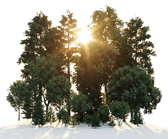 Satellite MRV for Indian Carbon Market (ICM)